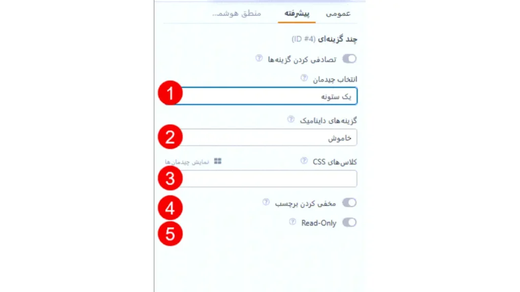 تنظیمات Advanced فیلدهای WPForms